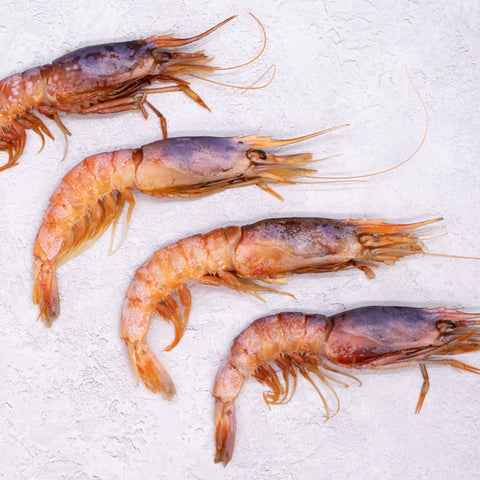 Wild Mediterranean Red Shrimp - Extra Large