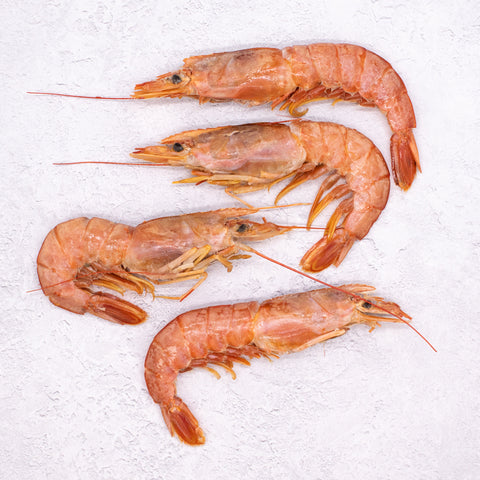 Premium Large Red Shrimp Head-On