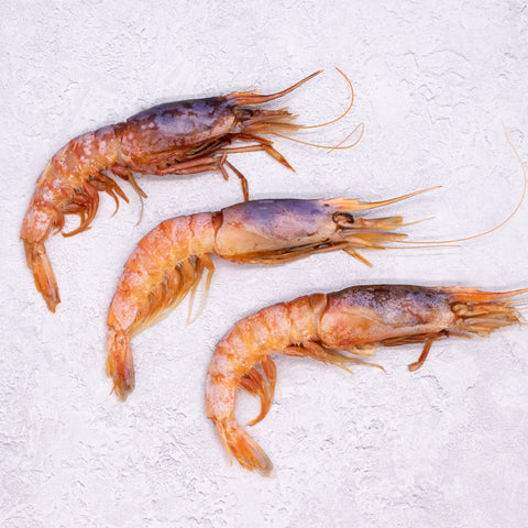 Wild Mediterranean Red Shrimp - Large