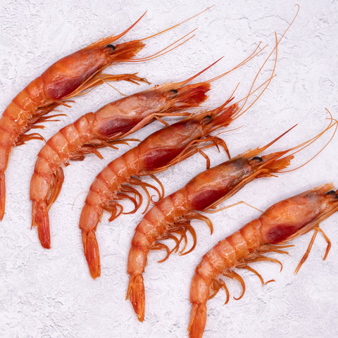 Alistado Wild Red Shrimp