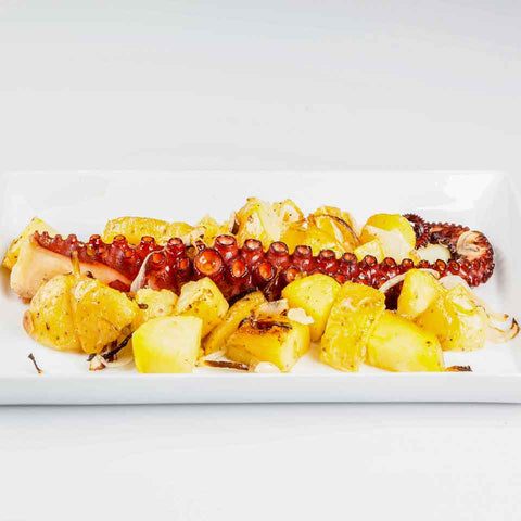 Spanish Flower Octopus XL