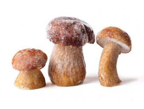 Whole Porcini Mushrooms 2.2lbs