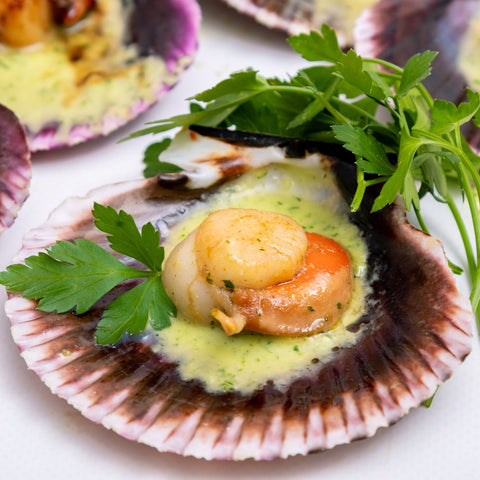Scallops in Shell / Zamburinas