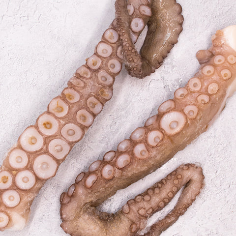 Raw Large Octopus Tentacles