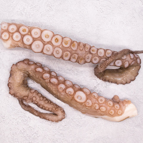 Raw Small Octopus Tentacles