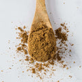 Wooden spoon containing Gingerbread Spice Blend, seen from above.
