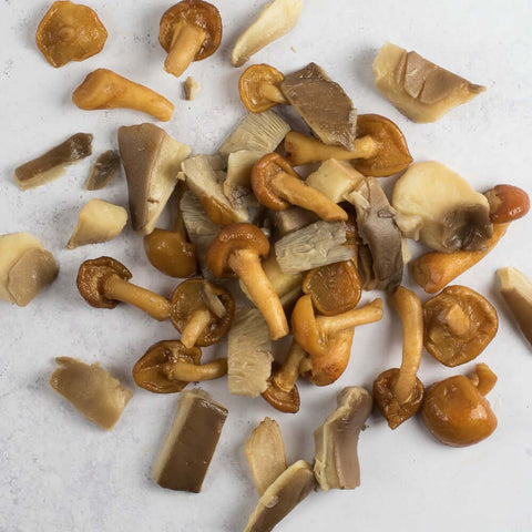 Mushroom Mix arranged on marble, seen from above.