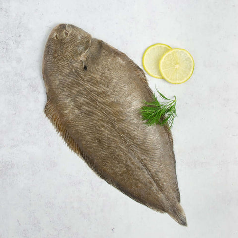 French Dover Whole Sole arranged on marble with chives and lemon, seen from above. 