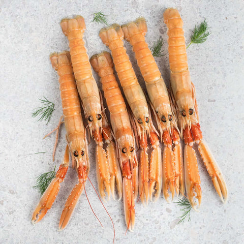 6 Wild Langoustine (Norway Lobster) arranged on marble with chives, seen from above.