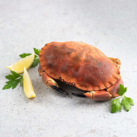 European Brown Crab cooked on marble with lemon and basil, front view.