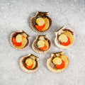 Assortment of six Scallops in Shell, placed on marble, seen from above.